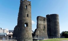 Ferns castle - © Andrzej Bartyzel