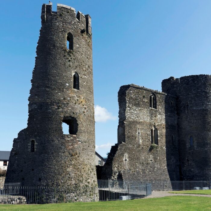 Ferns castle - © Andrzej Bartyzel