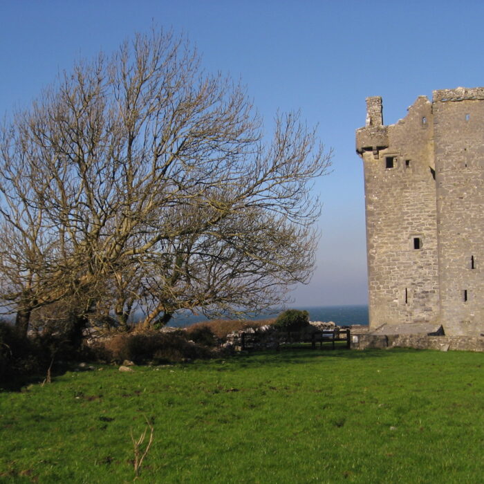 Das Gleninagh Castle - Johnida Dockens - cc