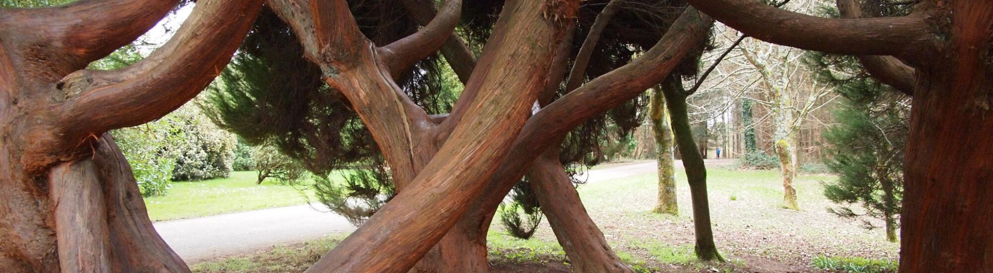 John Fitzgerald Kennedy Arboretum