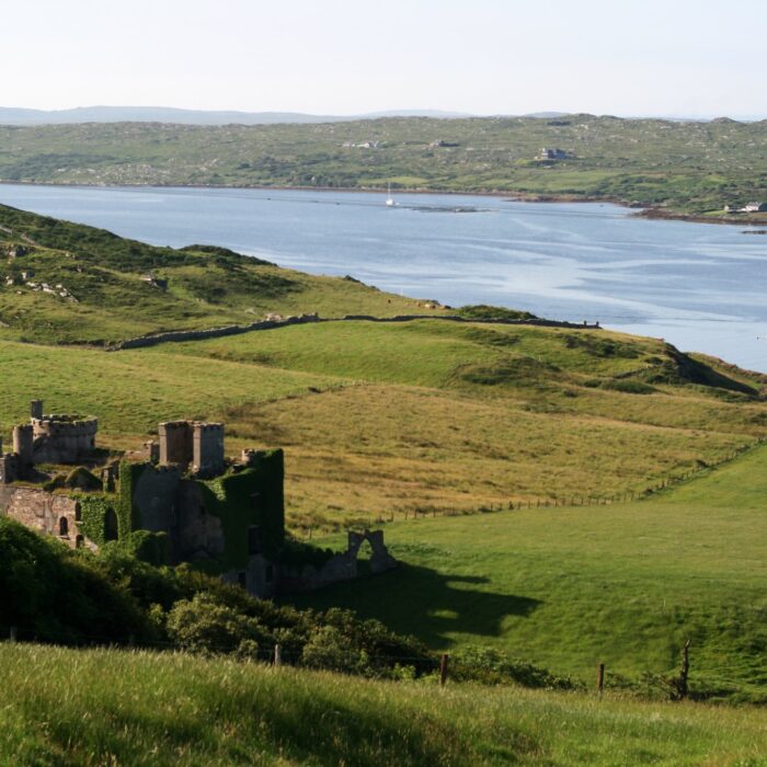 Das Clifden Castle - nora.warschewski - cc