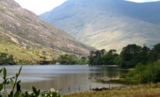 Der Delphi-Pass - michael clarke stuff - cc