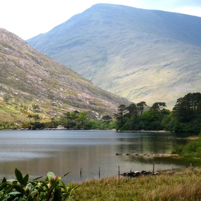 Der Delphi-Pass - michael clarke stuff - cc