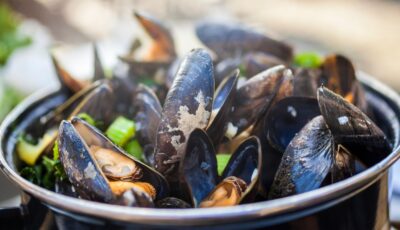 Irische Muscheln - © Darren Baker