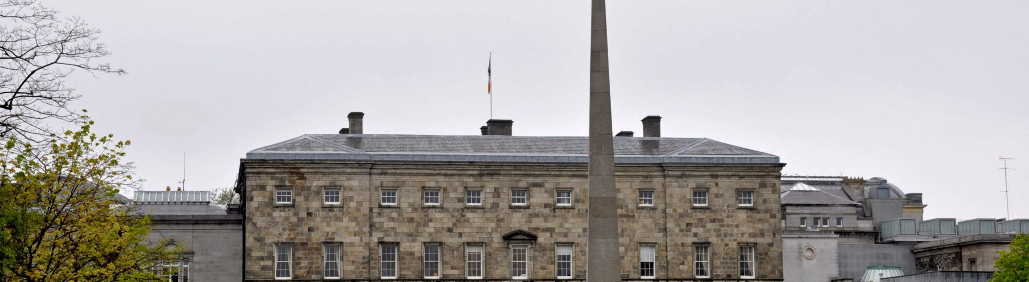 Leinster House