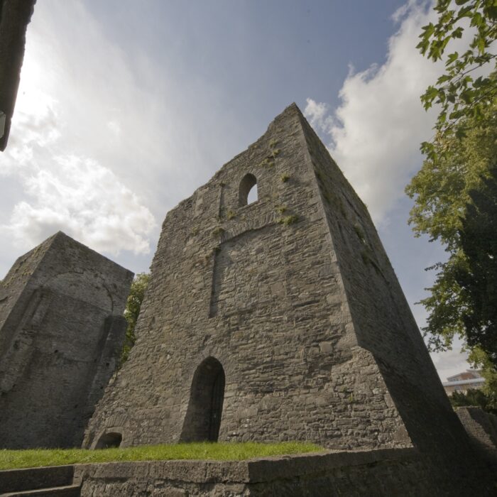 Maynooth Castle - William Murphy - cc