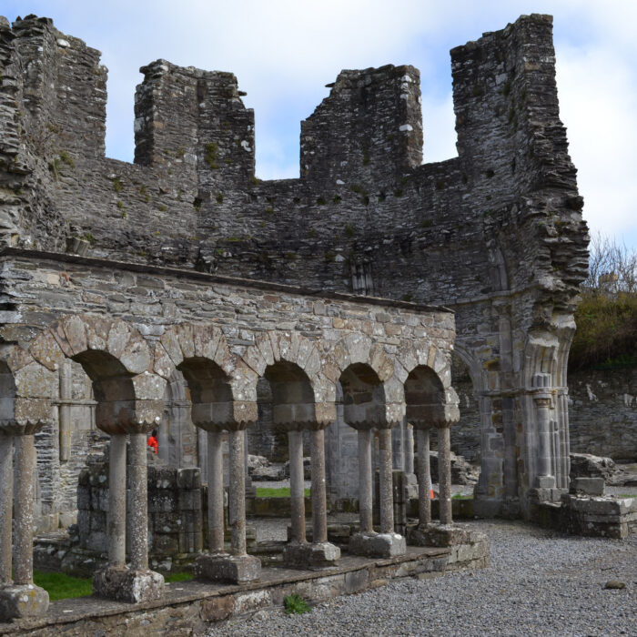 Die Mellifont Abbey - Regina Magazine - cc