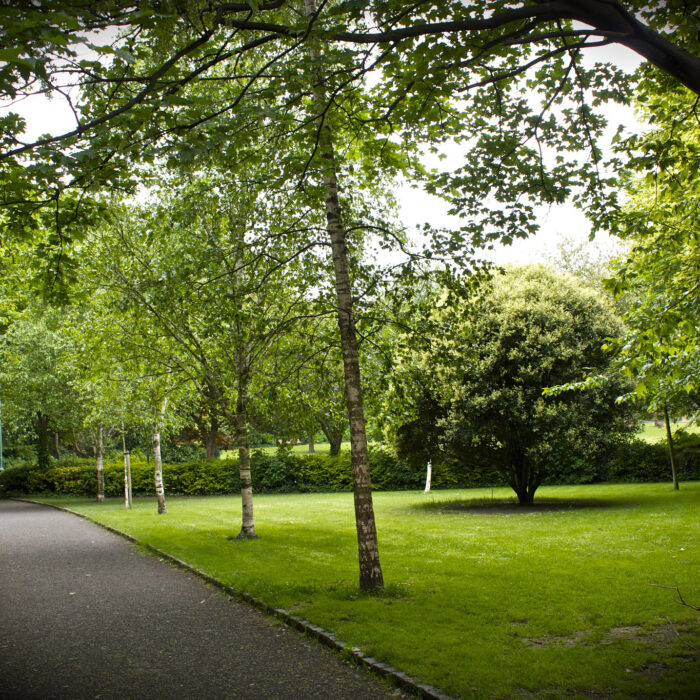 Merrion Square - Neil Turner - cc