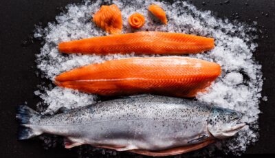 Irischer Lachs - © Maksim Shebeko