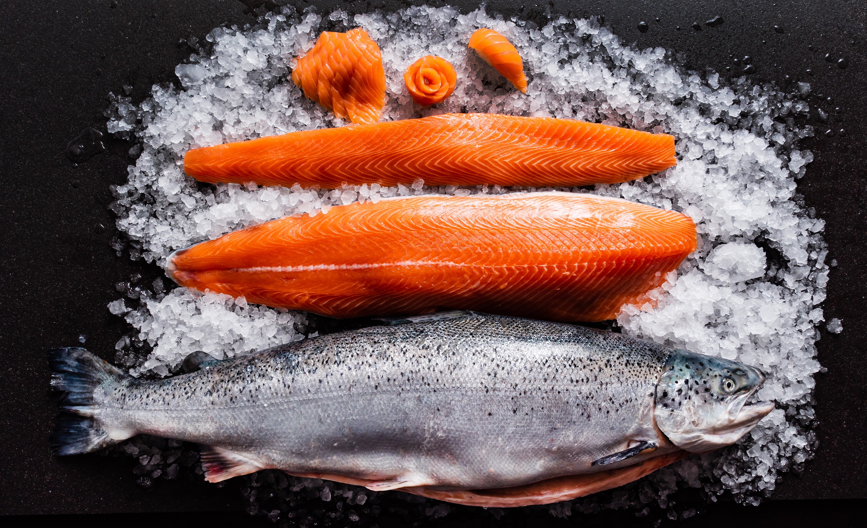 Irischer Lachs - © Maksim Shebeko  