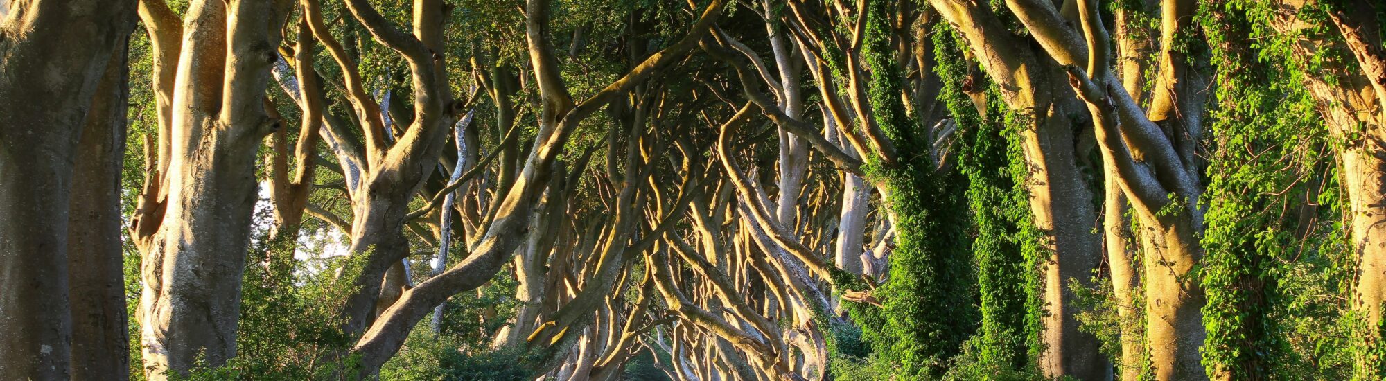 Game of Thrones in Irland