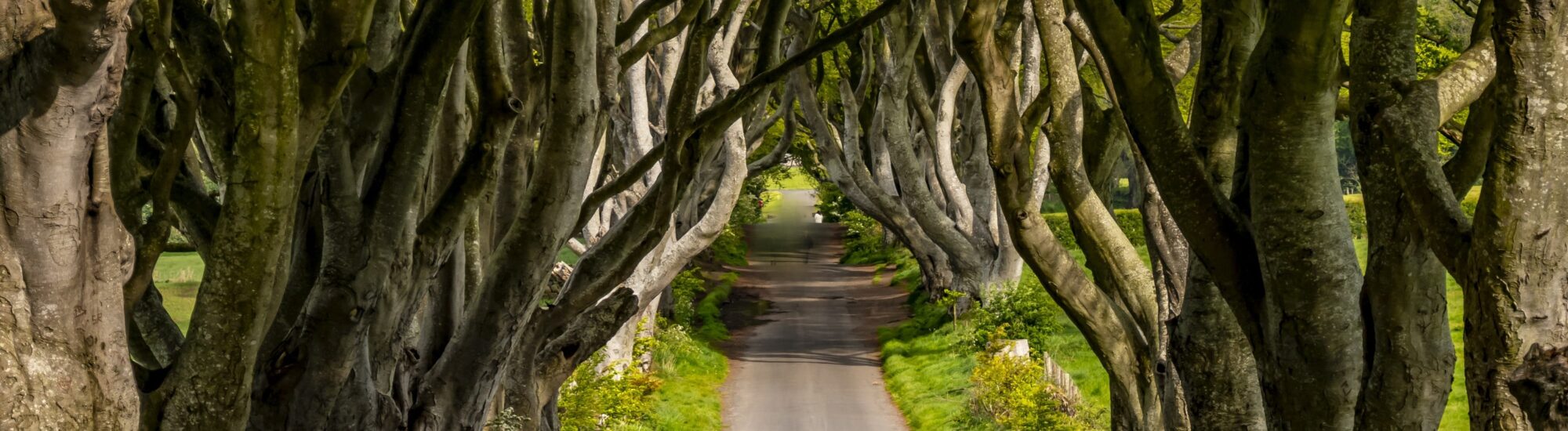 Ballymoney