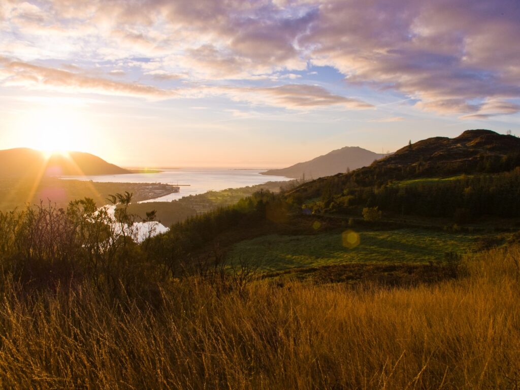 Blick auf den Ring of Gullion - cranneyanthony - cc