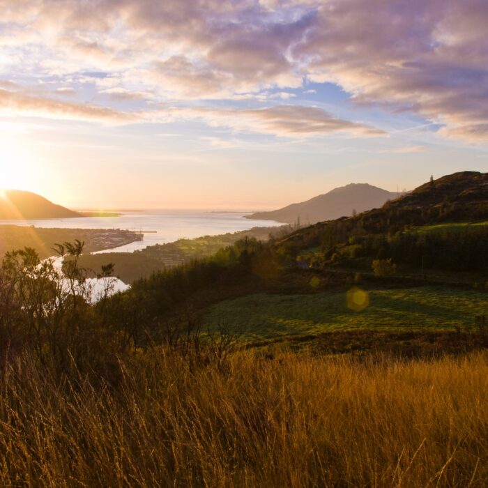 Blick auf den Ring of Gullion - cranneyanthony - cc
