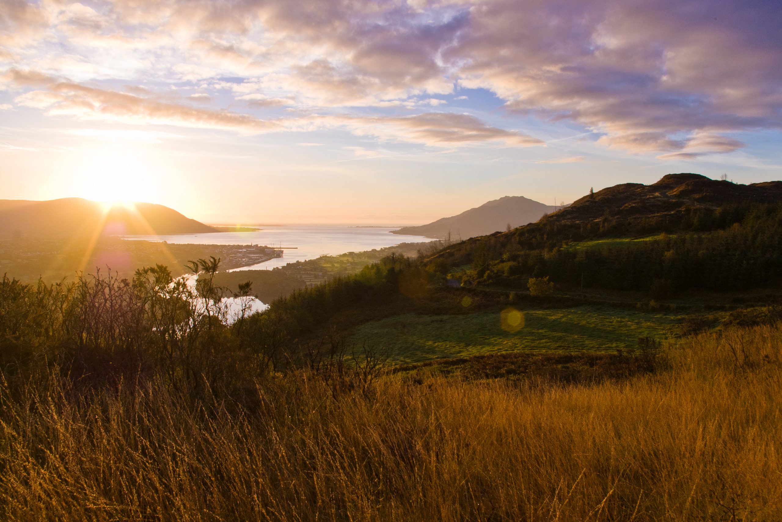 Blick auf den Ring of Gullion - cranneyanthony - cc