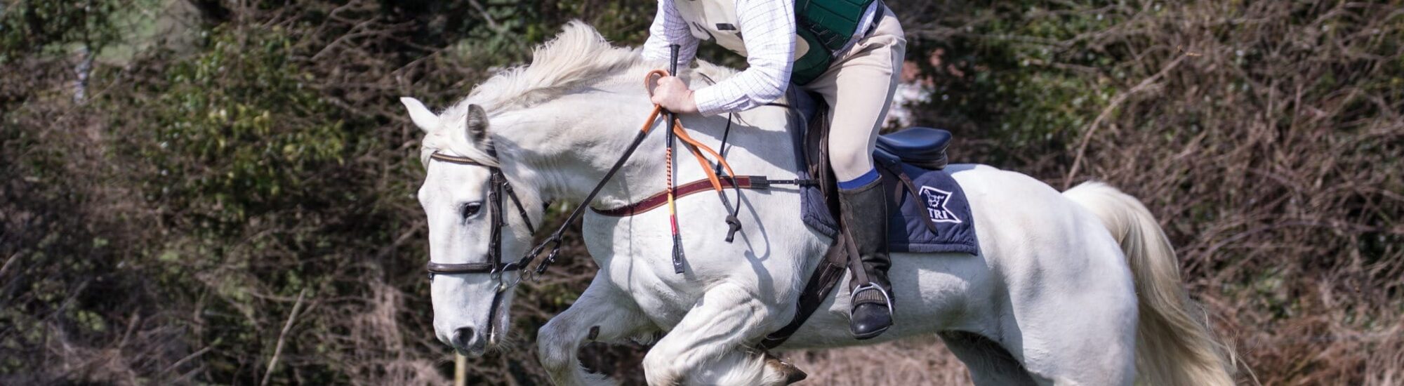 Der Irische Hunter
