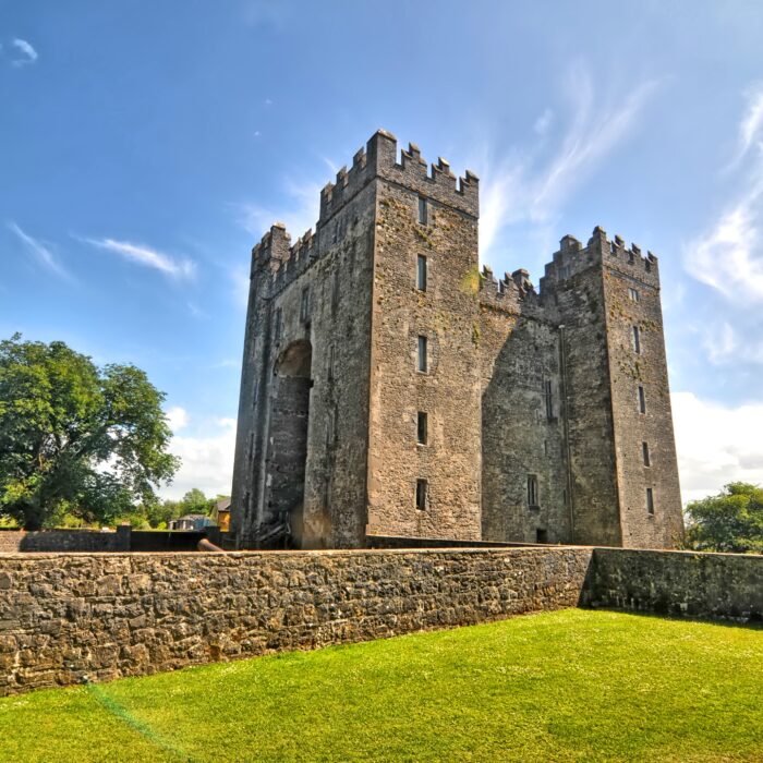 Bunratty Castle - © robnaw