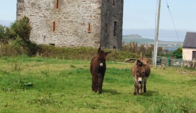 Gallarus Castle - jemartin03 - cc