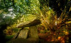 Der Dolmen von Gaulstown - © Yggdrasill