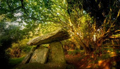 Der Dolmen von Gaulstown - © Yggdrasill
