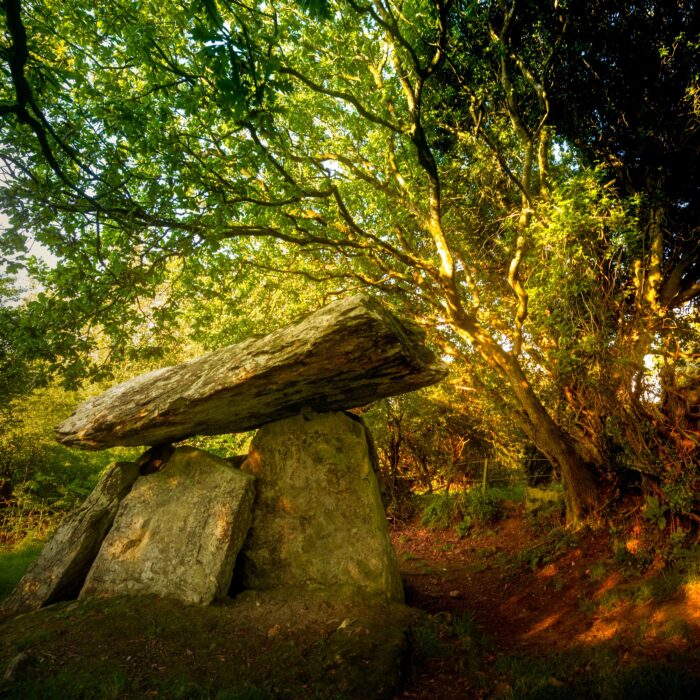 Der Dolmen von Gaulstown - © Yggdrasill