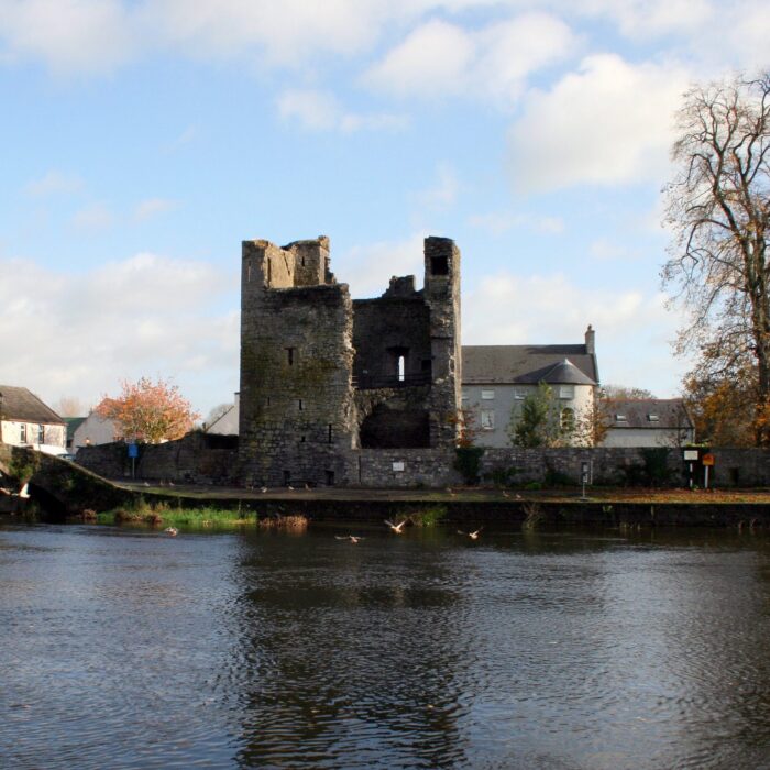 Leighlinbridge Castle - Öffentlicher Bereich