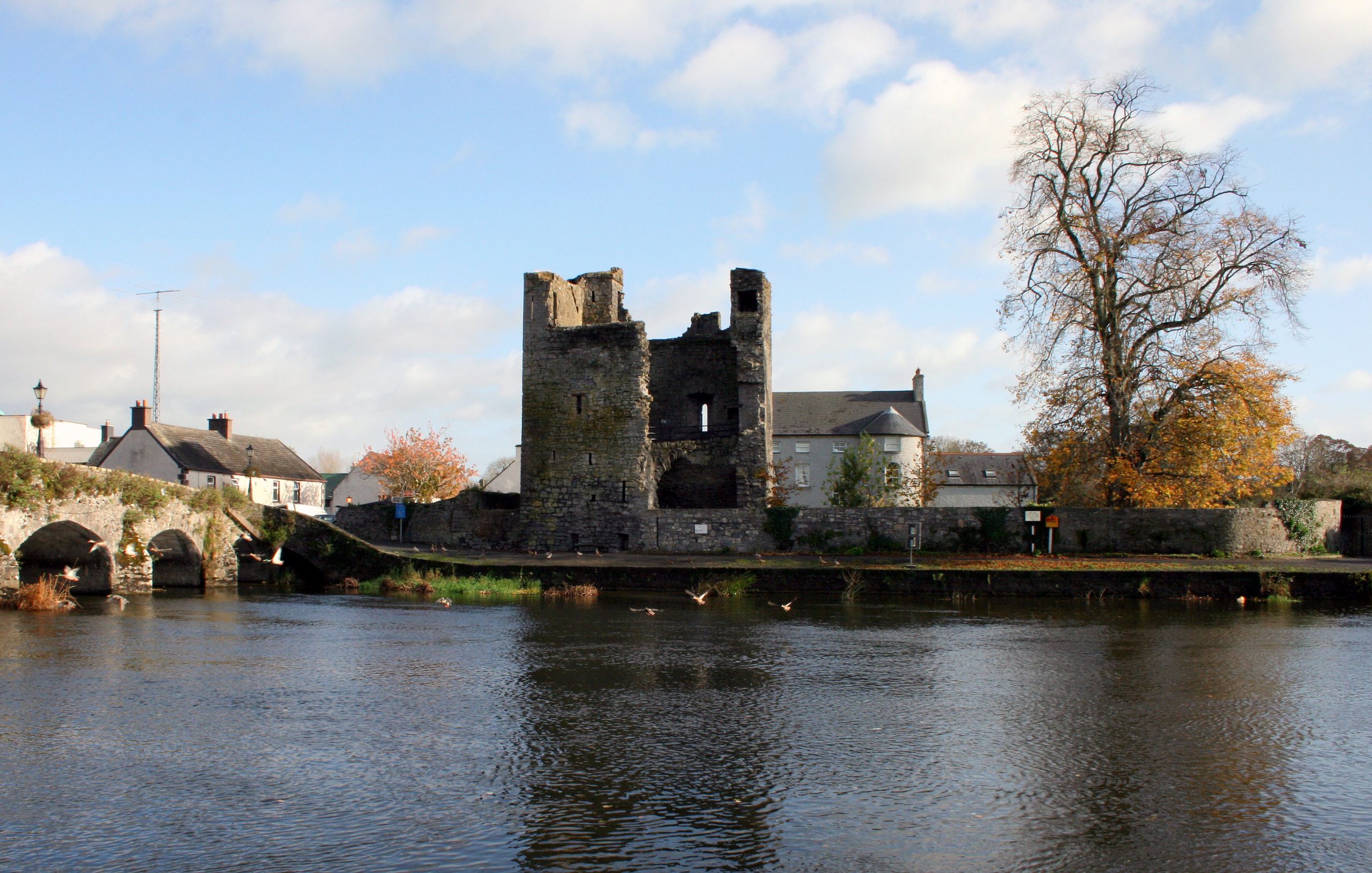 Leighlinbridge Castle - Öffentlicher Bereich