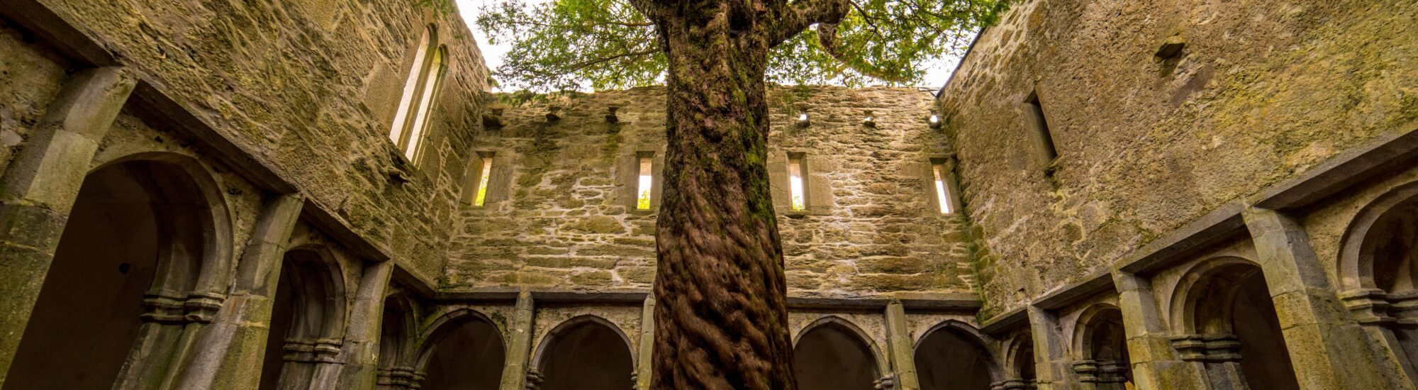 Die Muckross Abbey