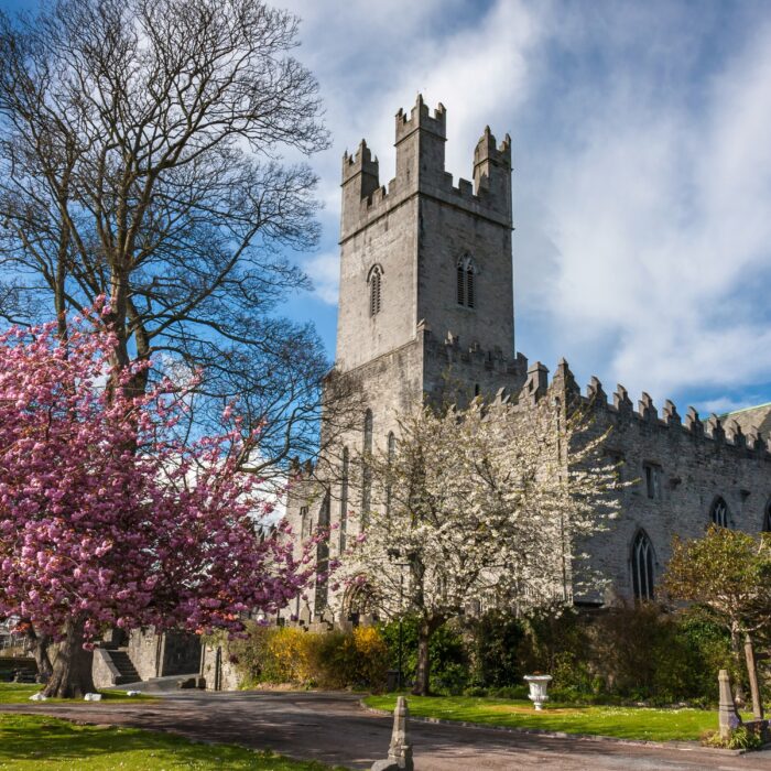 Die St Mary's Cathedral in Limerick - © peteleclerc