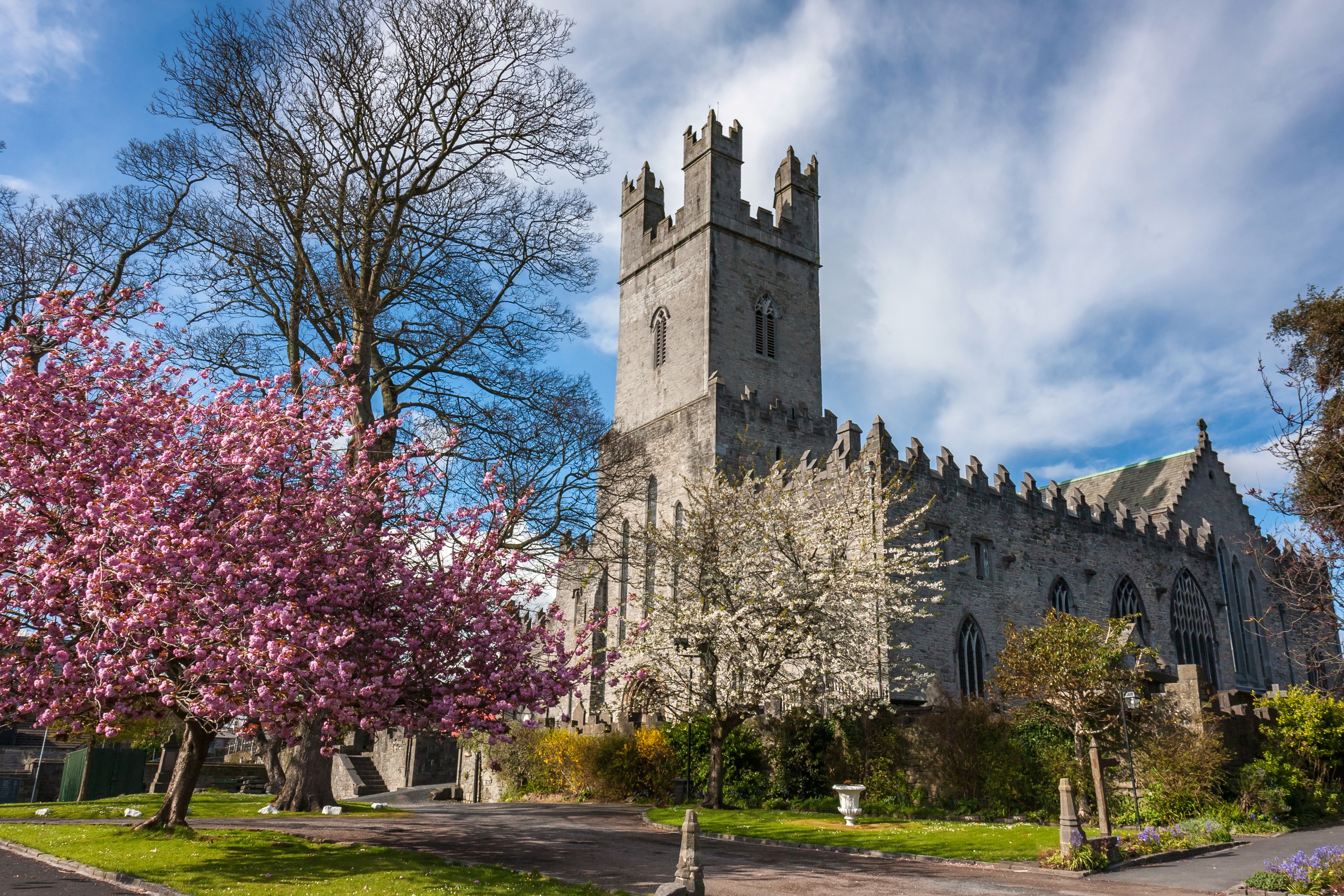Die St Mary's Cathedral in Limerick - © peteleclerc