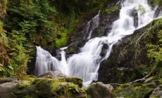 Der Torc-Wasserfall - Arseni Mourzenko - cc