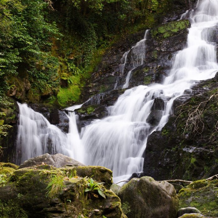 Der Torc-Wasserfall - Arseni Mourzenko - cc