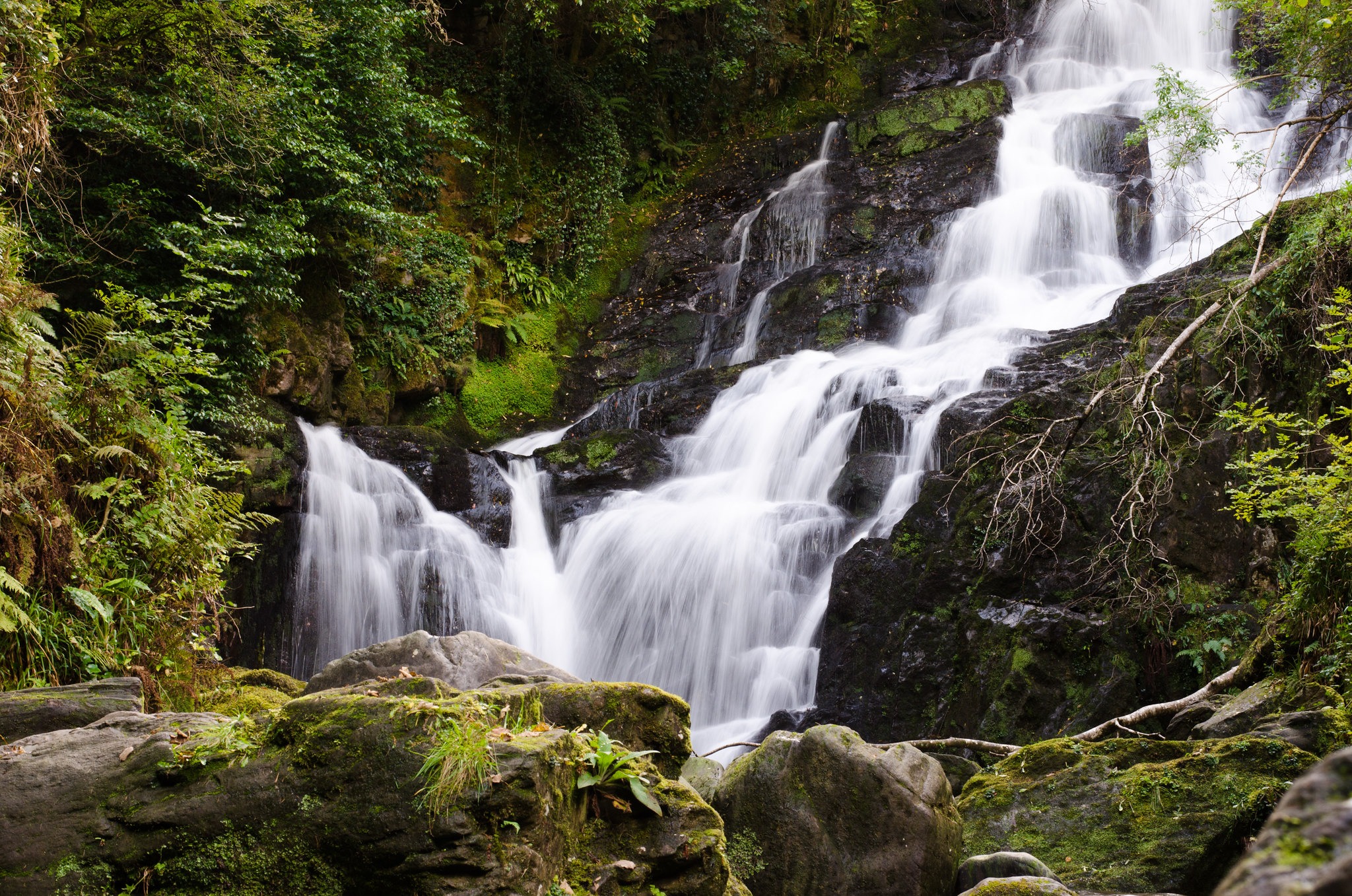 Der Torc-Wasserfall - Arseni Mourzenko - cc