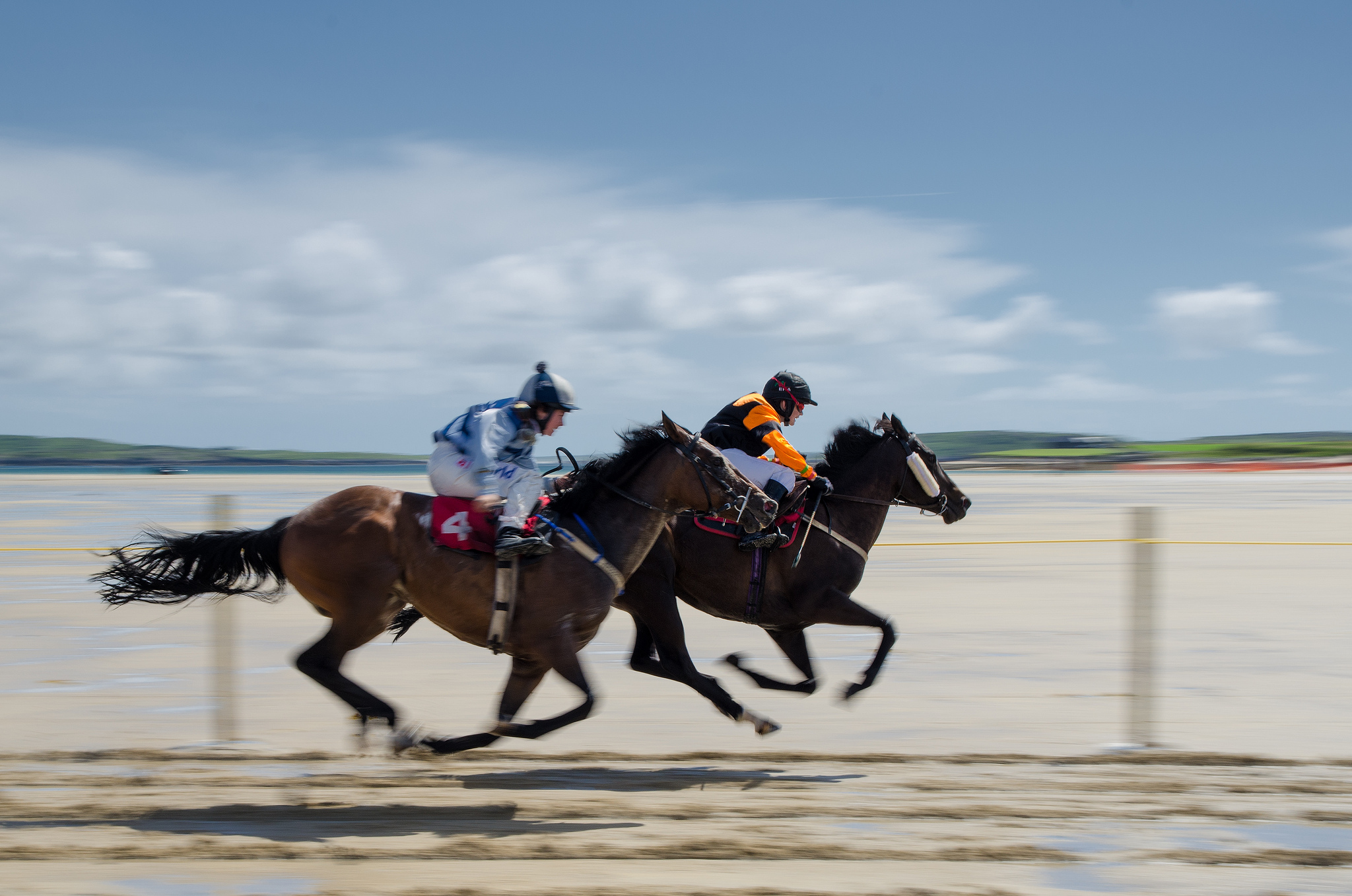 Die Dingle Races