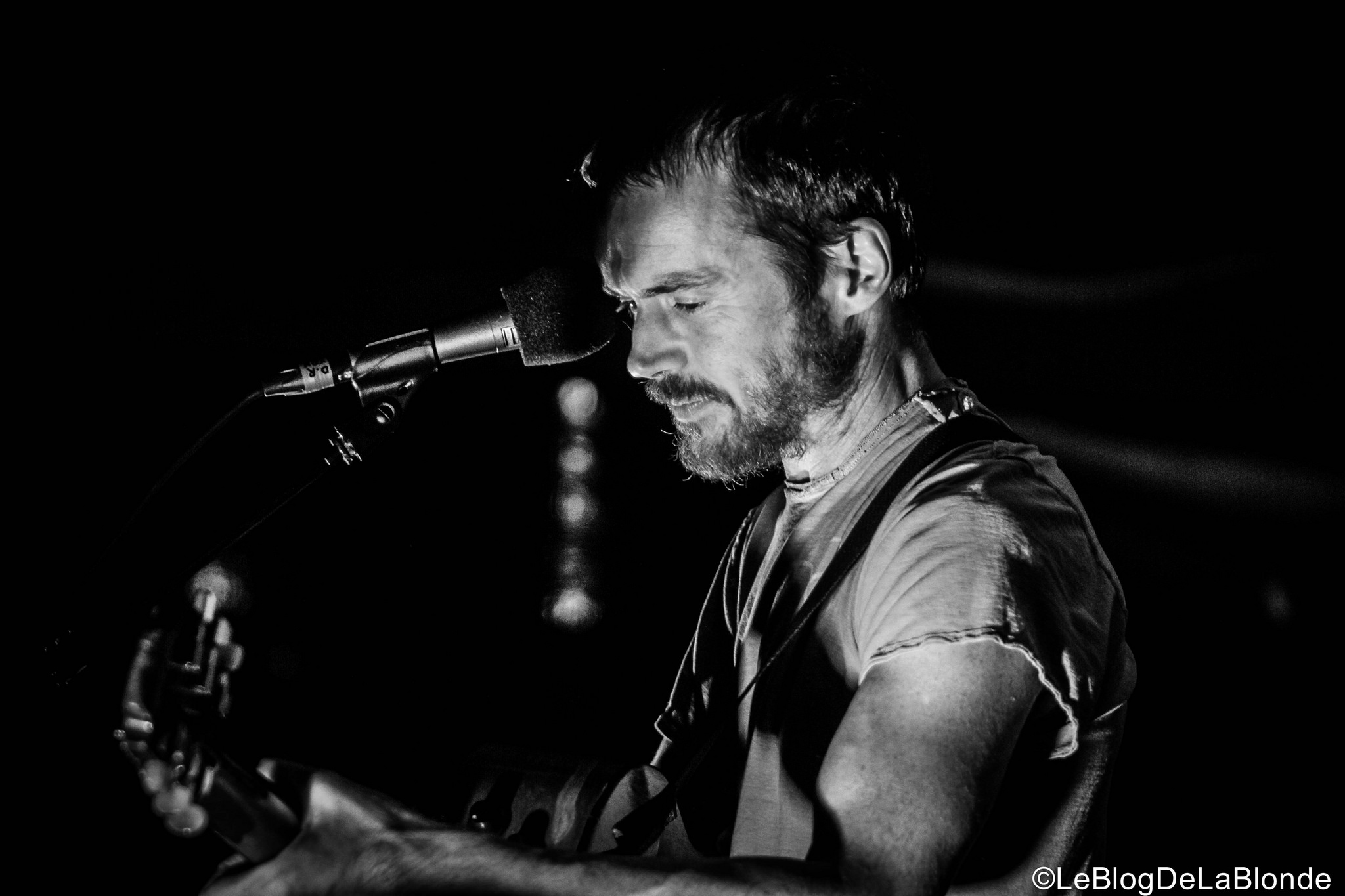 damien rice