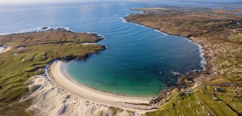 dogs bay 1