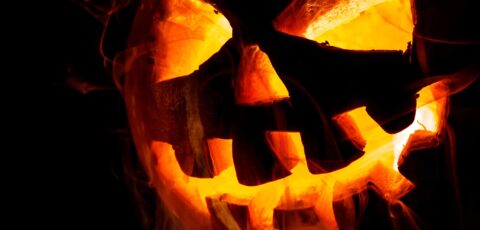 Ein Jack O'Lantern-Kürbis - © Andrey Armyagov