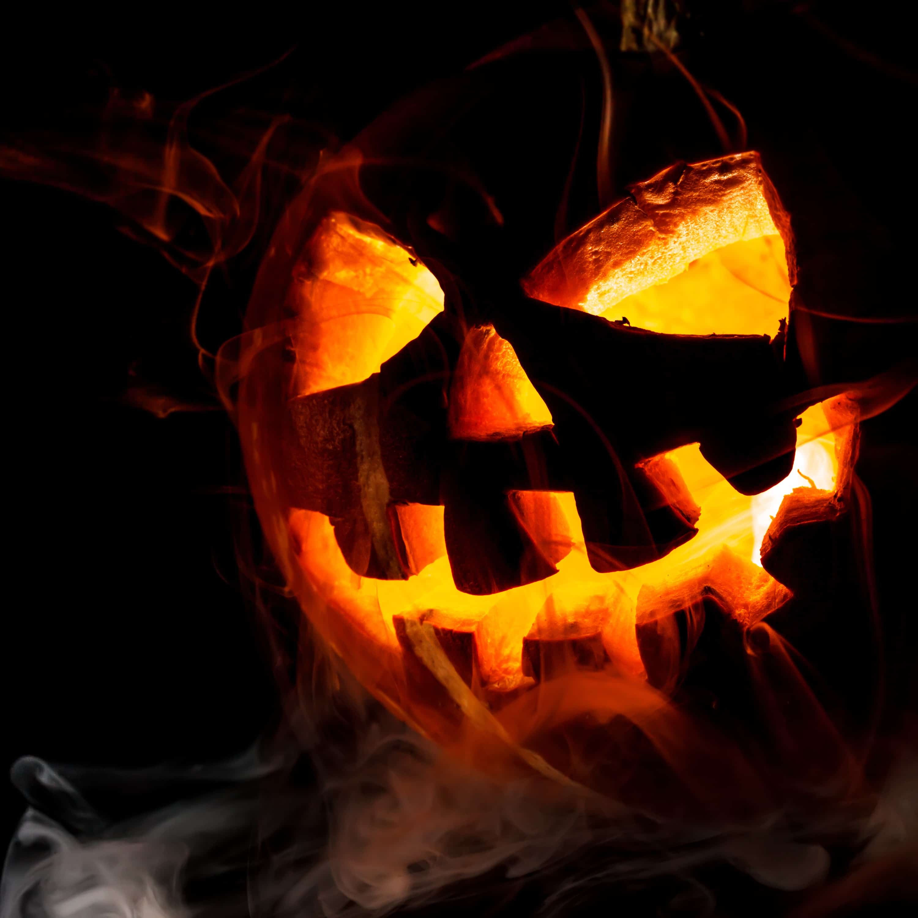 Ein Jack O'Lantern Kürbis - © Andrey Armyagov