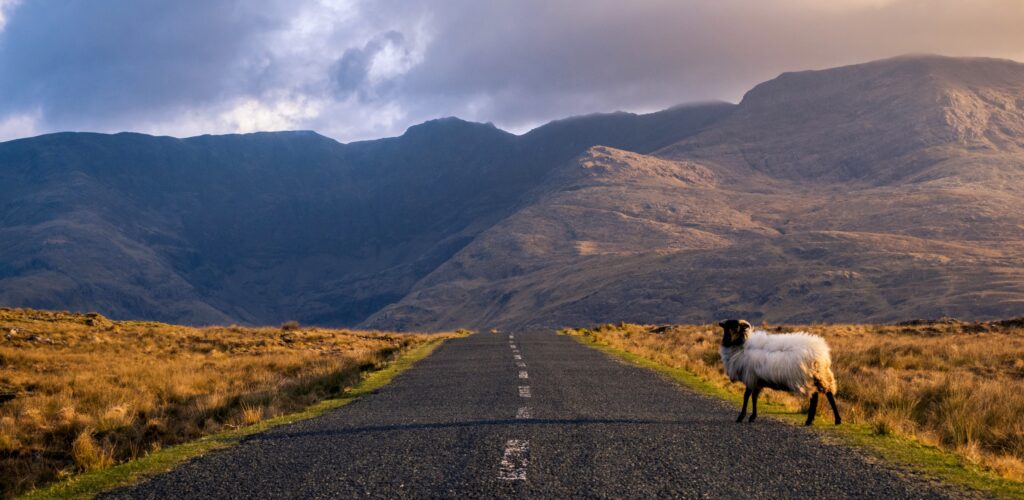 5 Gründe, Irland im Herbst zu entdecken!