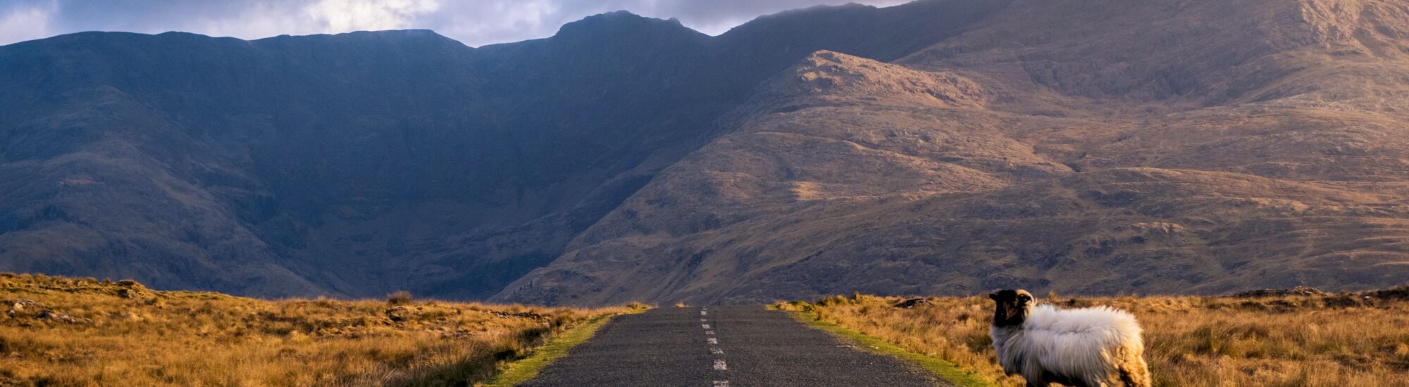 Mit dem Auto in Irland unterwegs