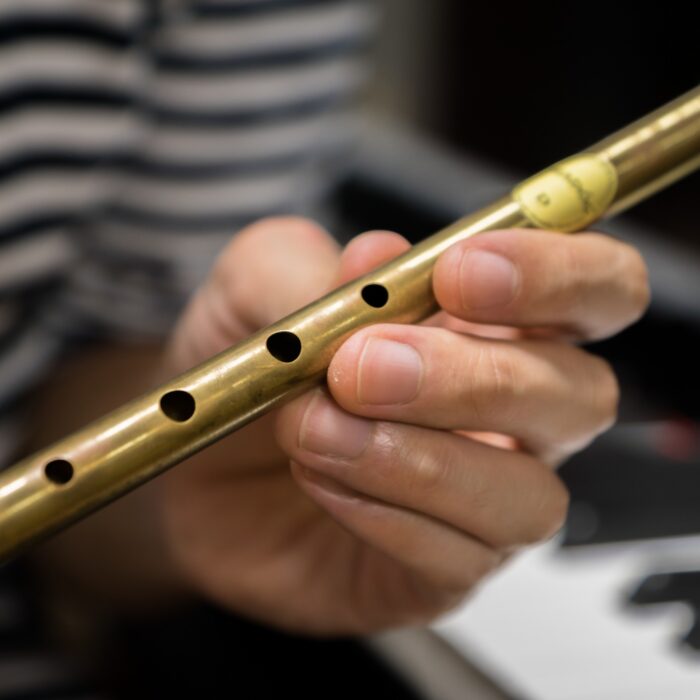 Eine Tin Whistle - © uskarp2