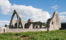 Die Castledermot Abbey - Andreas F. Borchert - cc