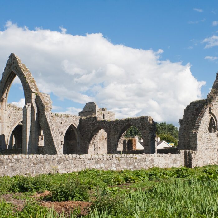 Die Castledermot Abbey - Andreas F. Borchert - cc