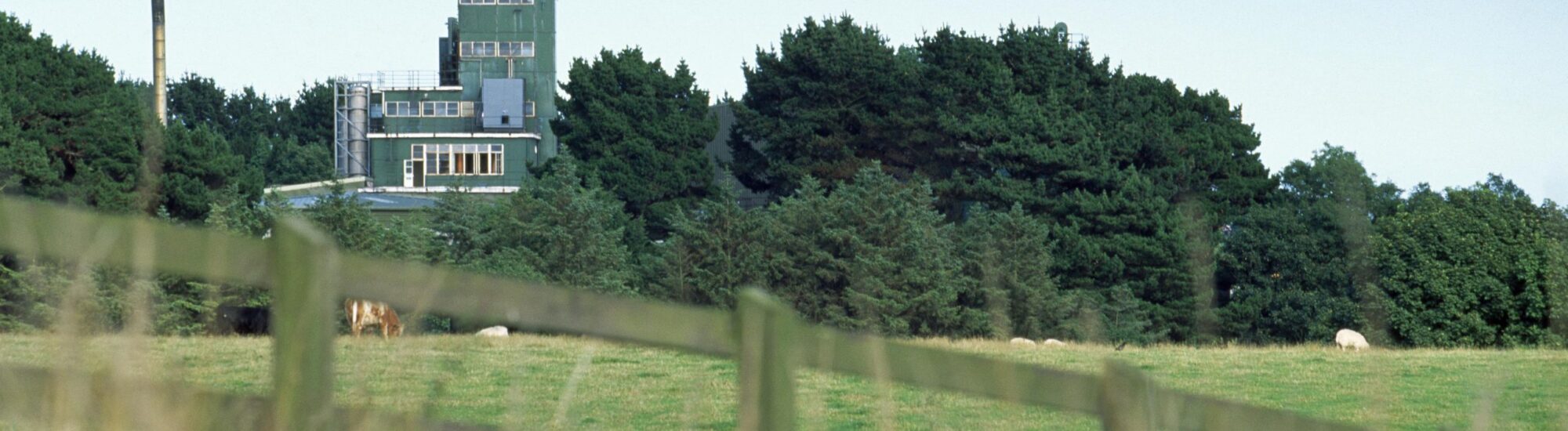 Die Cooley Distillery