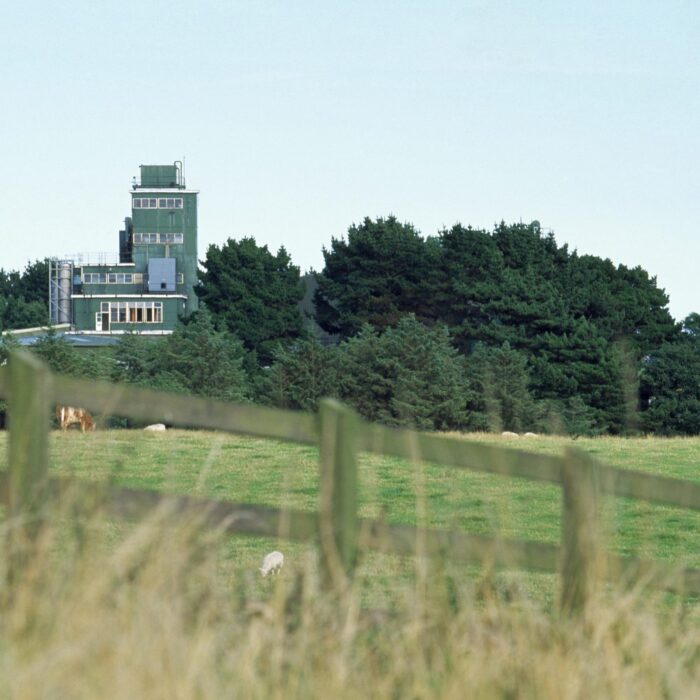 Die Cooley Distillery - Public Domain