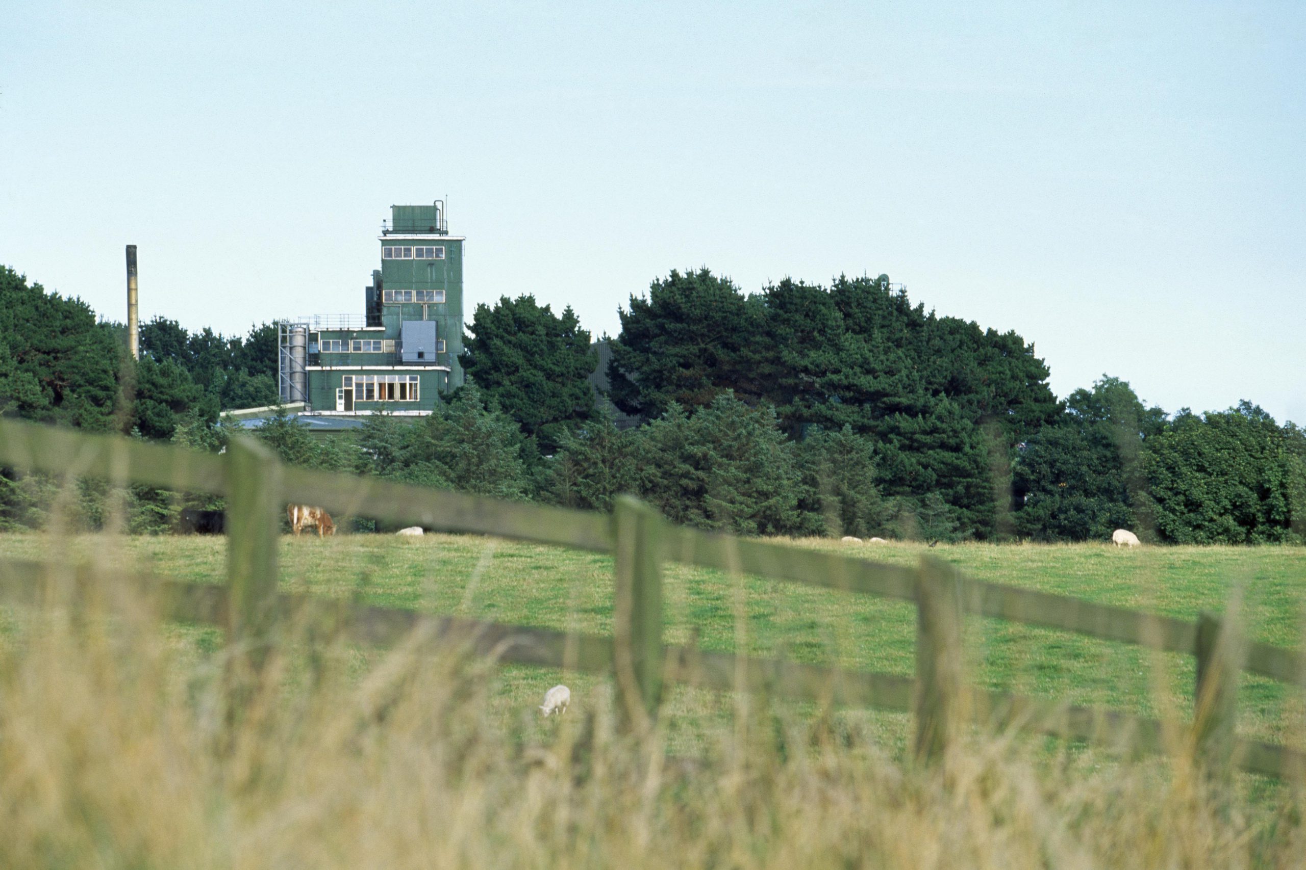 Die Cooley Distillery - Public Domain