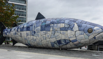 big fish