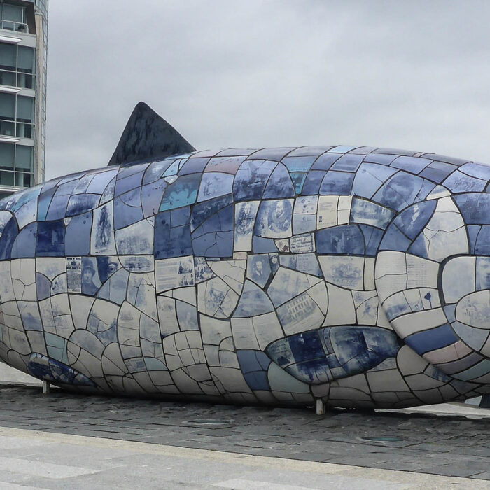 big fish
