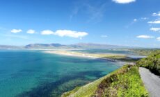 dingle bay