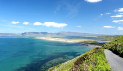 dingle bay